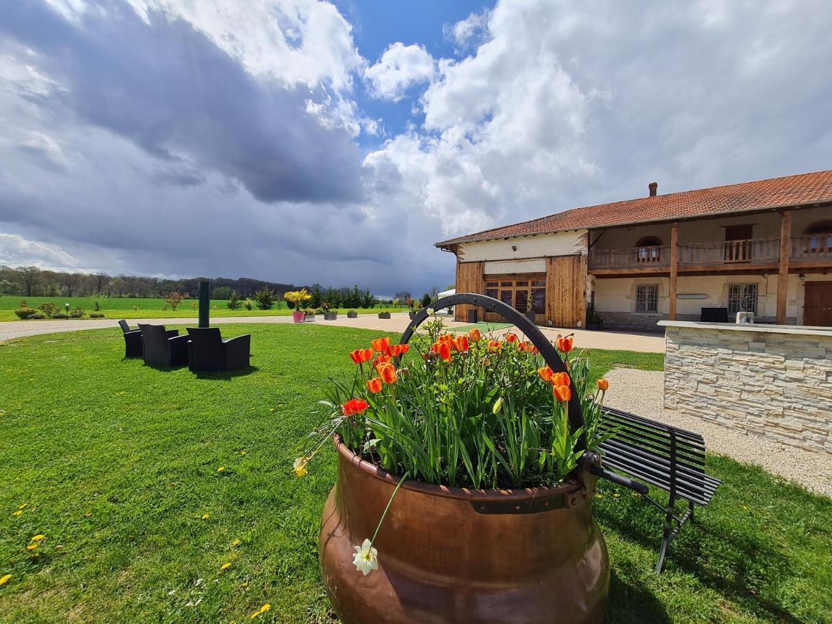Domaine Du Cuiset -Gite Des Combles Villa Saint-Andre-sur-Vieux-Jonc Exterior photo